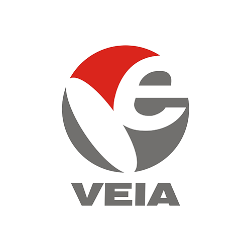 vietnam-electronic-industries-association-veia